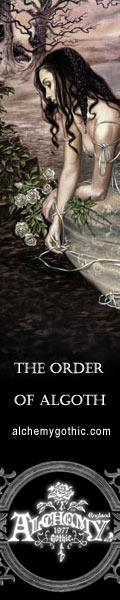 120x600