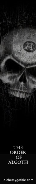 skull120x600