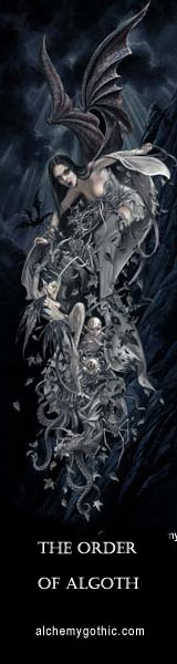 vamp160x600
