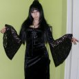 Elvira&#039;s Tryst